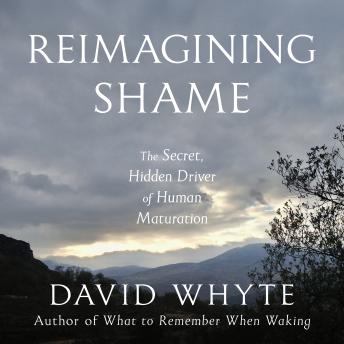 Reimagining Shame