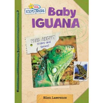 Download Active Minds Explorers: Baby Iguana by Ellen Lawrence