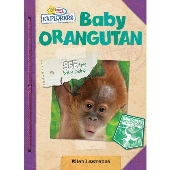 Active Minds Explorers: Baby Orangutan