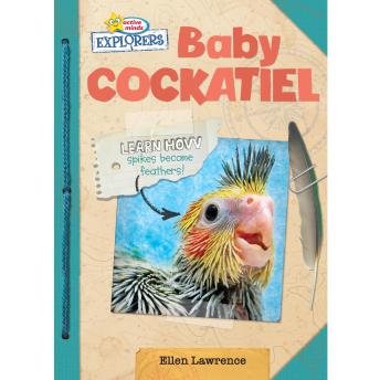 Download Active Minds Explorers: Baby Cockatiel by Ellen Lawrence