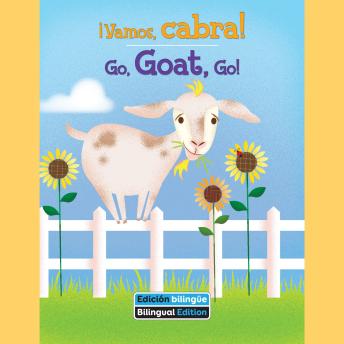 [Spanish] - ¡Vamos, cabra! / Go, Goat, Go!