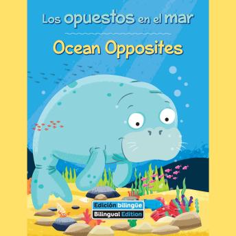 [Spanish] - Los opuestos en el mar / Ocean Opposites