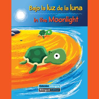 [Spanish] - Bajo la luz de la luna / In the Moonlight