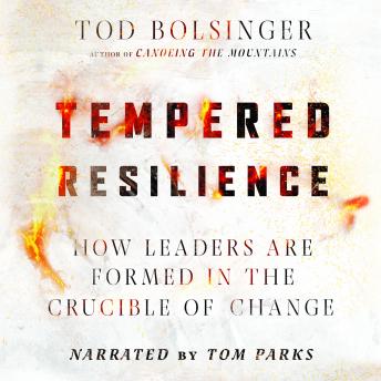 Tempered Resilience: How Leaders Are Formed in the Crucible of Change sample.