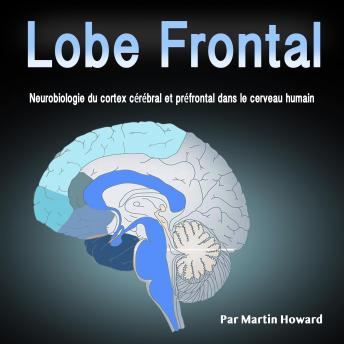 [French] - Lobe Frontal: Neurobiologie du cortex cérébral et préfrontal dans le cerveau humain (French Edition)