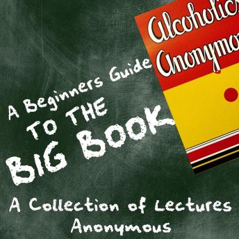 Beginners Guide to the Big Book - A Collection of Lectures, Audio book by Anoynymous 