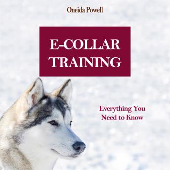 E-COLLAR TRAINING: Everything You Need to Know