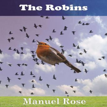 The Robins: A Kids Book