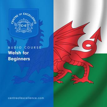 Download Welsh for Beginners by Centre Of Excellence