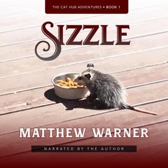 Sizzle: The Cat Hub Adventures, Book 1