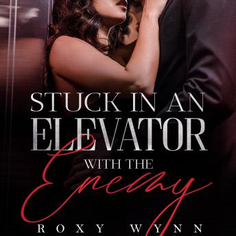 Stuck in an Elevator With the Enemy: An Enemies to Lovers Romance