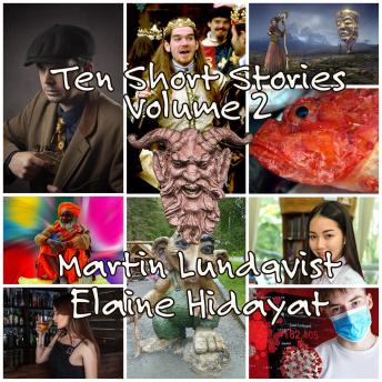 10 Short Stories: Volume 2, Audio book by Martin Lundqvist