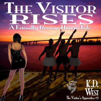The Visitor Rises: A Friendly Reverse Harem Tale