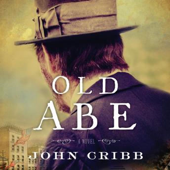 Old Abe: A Novel sample.