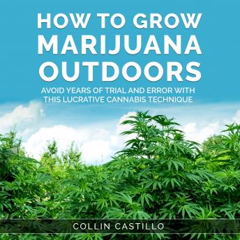 How to Grow Marijuana Outdoors: Avoid Years of Trial and Error With This Lucrative Cannabis Technique