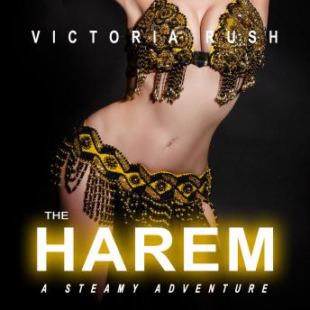 The Harem: A Steamy Adventure