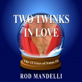 Download Two Twinks In Love by Rod Mandelli