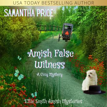 Download Amish False Witness: A Cozy Amish Mystery by Samantha Price