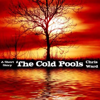 The Cold Pools