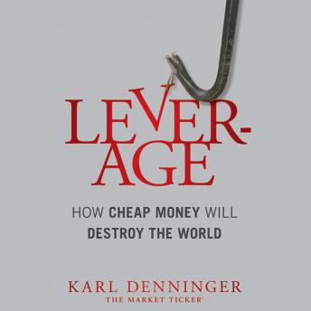 Leverage: How Cheap Money Will Destroy the World