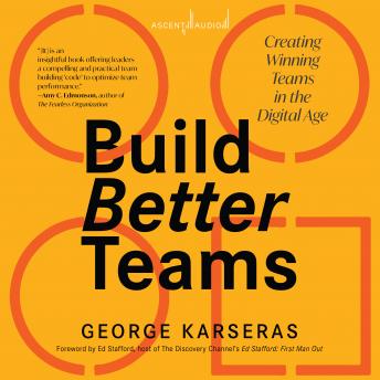 Build Better Teams: Creating Winning Teams in the Digital Age, Audio book by George Karseras