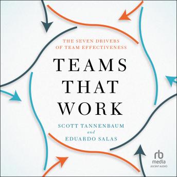 Teams That Work: The Seven Drivers of Team Effectiveness sample.
