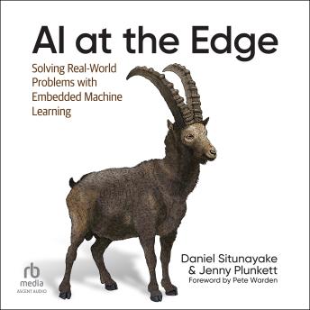 AI at the Edge: Solving Real-World Problems with Embedded Machine Learning