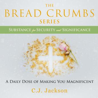 The Breadcrumbs Series - Substance for Security and Significance: A Daily Dose of Making You Awesome