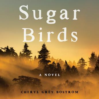Sugar Birds: A Novel