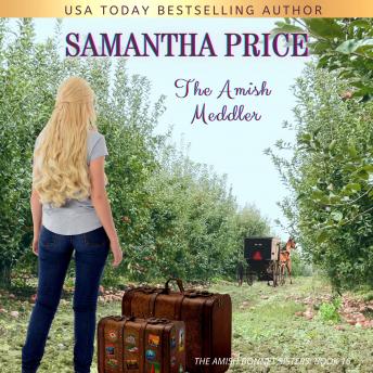 The Amish Meddler: Amish Romance