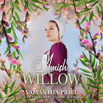 Listen Amish Willow: Amish Romance By Samantha Price Audiobook audiobook