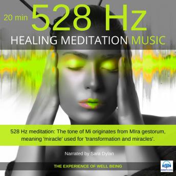 Healing Meditation Music 528 Hz 20 minutes: THE EXPERIENCE OF WELL-BEING