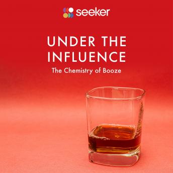 Download Under the Influence: The Chemistry of Booze by Seeker