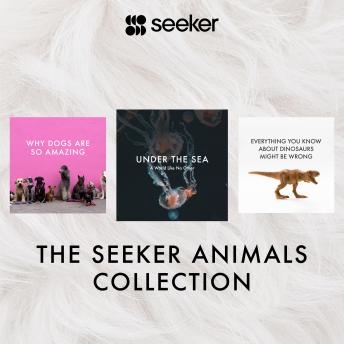 The Seeker Animals Collection