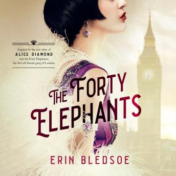 Download Forty Elephants: A Novel by Erin Bledsoe