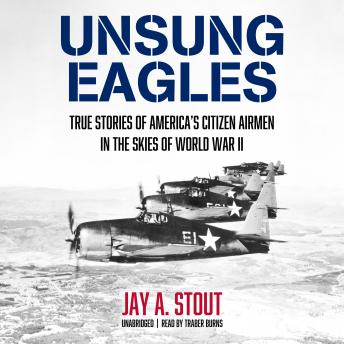 Unsung Eagles: True Stories of America's Citizen Airmen in the Skies of World War II