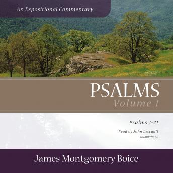 Psalms: An Expositional Commentary, Vol. 1: Psalms 1–41
