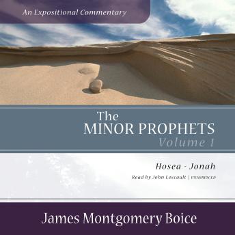 The Minor Prophets: An Expositional Commentary, Volume 1: Hosea–Jonah