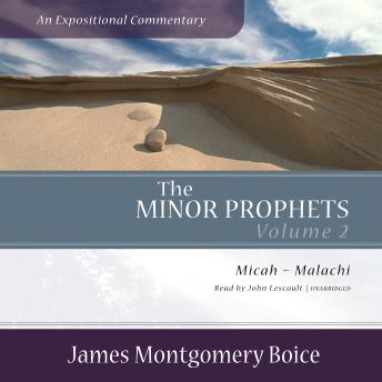 The Minor Prophets: An Expositional Commentary, Volume 2: Micah–Malachi