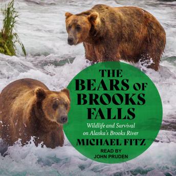 The Bears of Brooks Falls: Wildlife and Survival on Alaska's Brooks River