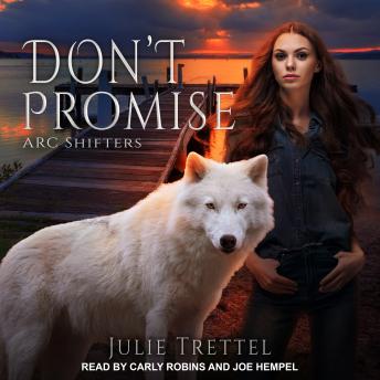 Download Don't Promise by Julie Trettel