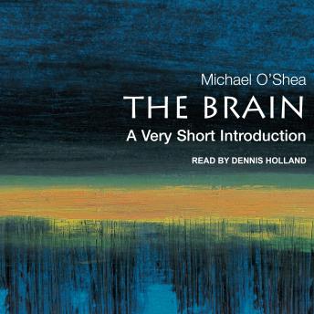 Brain: A Very Short Introduction sample.