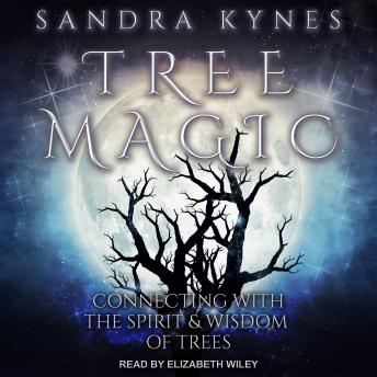 Tree Magic: Connecting with the Spirit & Wisdom of Trees