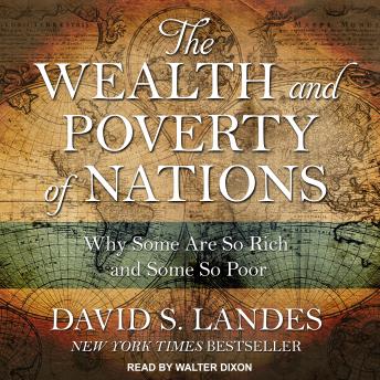 Wealth and Poverty of Nations: Why Some Are So Rich and Some So Poor sample.