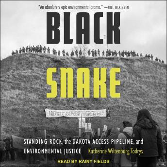 Black Snake: Standing Rock, the Dakota Access Pipeline, and Environmental Justice, Katherine Wiltenburg Todrys