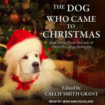 The Dog Who Came to Christmas: And Other True Stories of the Gifts Dogs Bring Us