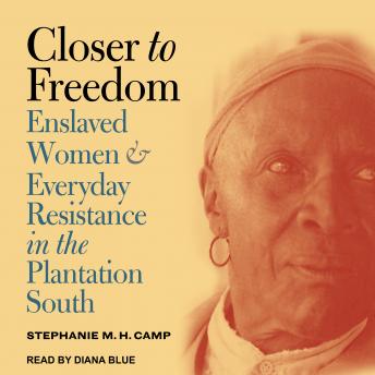 Closer to Freedom: Enslaved Women and Everyday Resistance in the Plantation South sample.