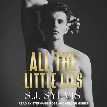 Download All the Little Lies by S.J. Sylvis