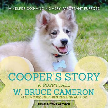 Cooper's Story: A Puppy Tale
