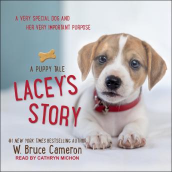Lacey’s Story: A Puppy Tale